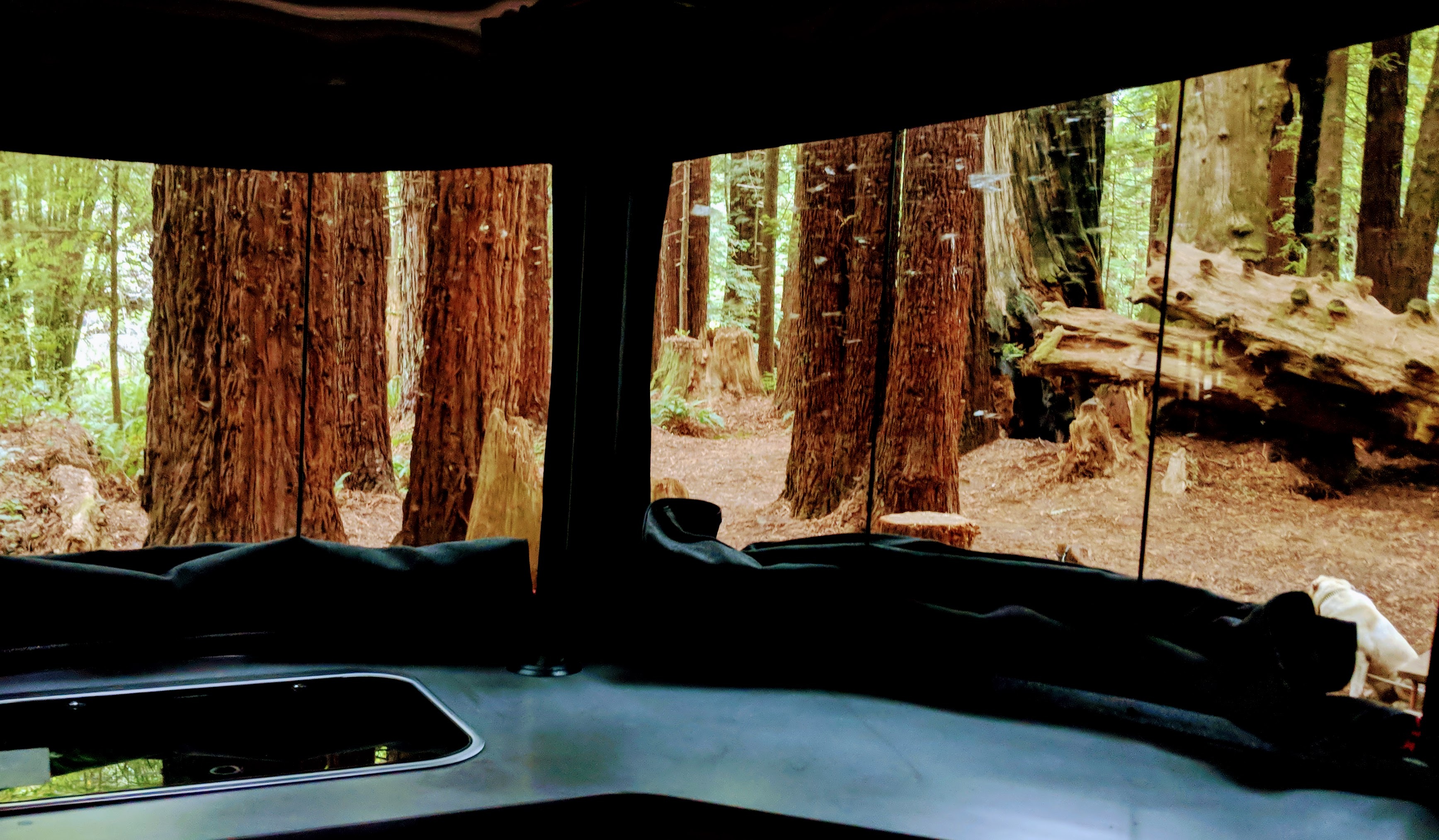 2018 Airstream BASECAMP 16 in mount shasta CA
