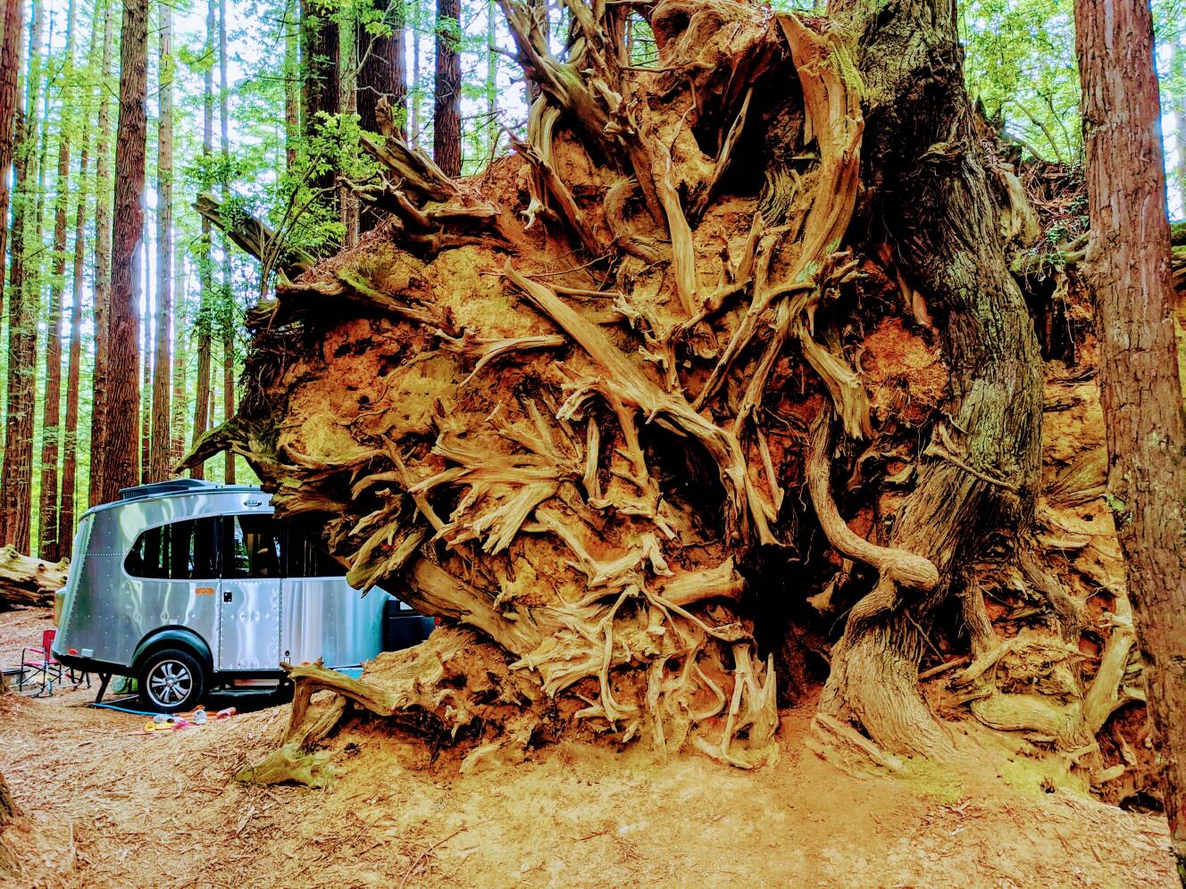 A photo of this 2018 Airstream BASECAMP 16