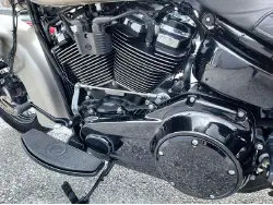 2018 HARLEY DAVIDSON Soft Tail