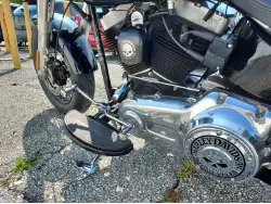 2015 HARLEY DAVIDSON Soft Tail