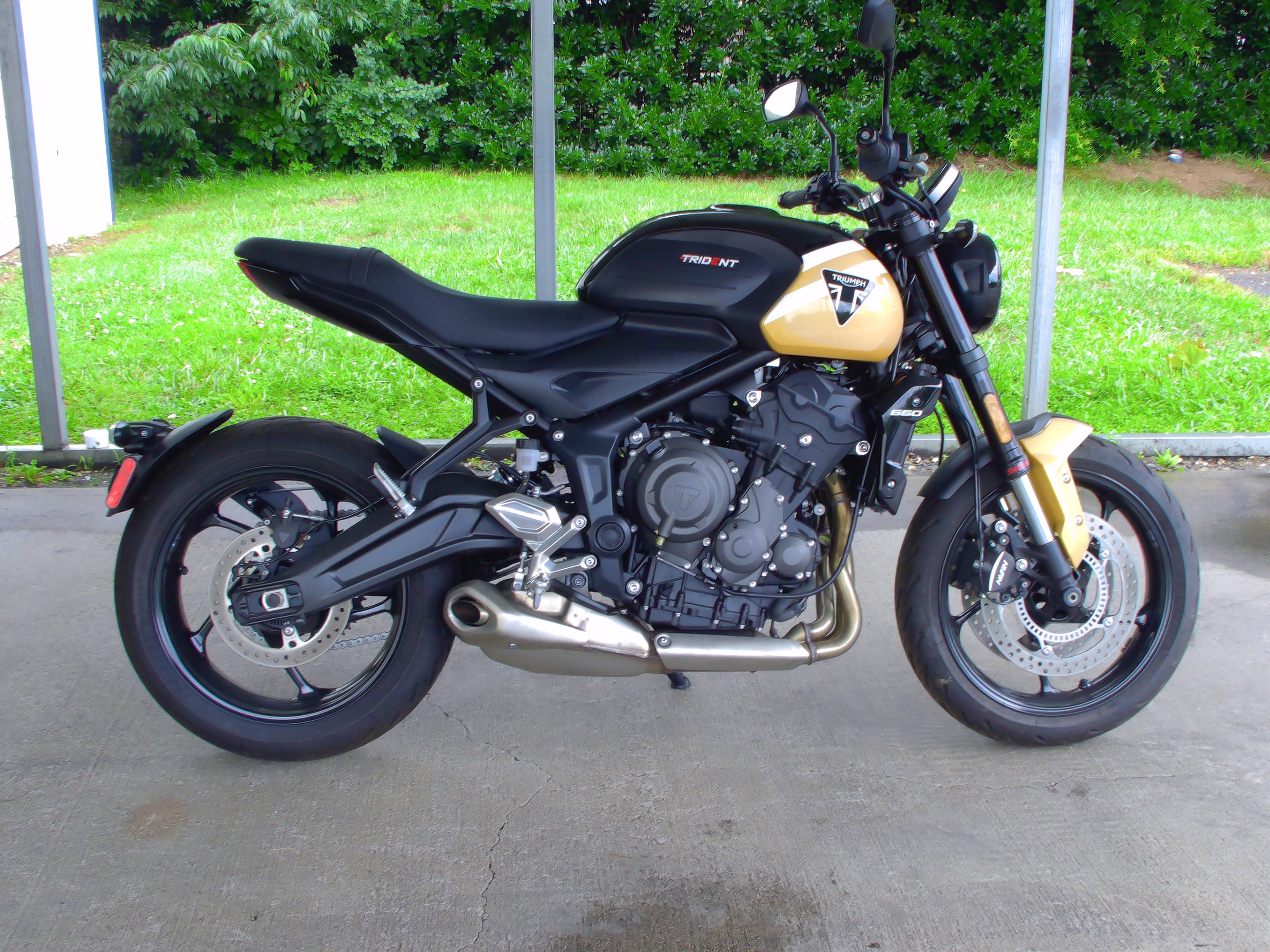2025 Triumph TRIDENT 660 660 in Asheville, NC