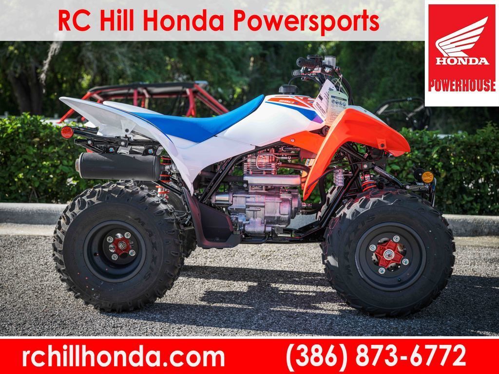 2026 Honda® TRX250X in deland FL