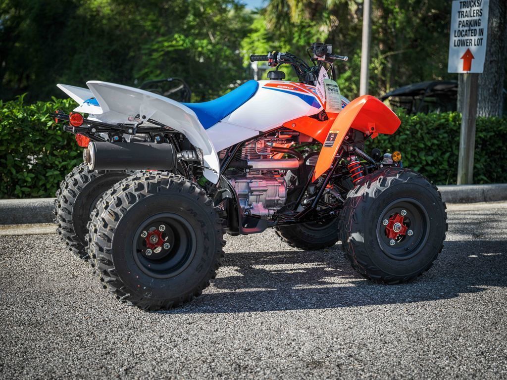 2026 Honda® TRX250X in deland FL
