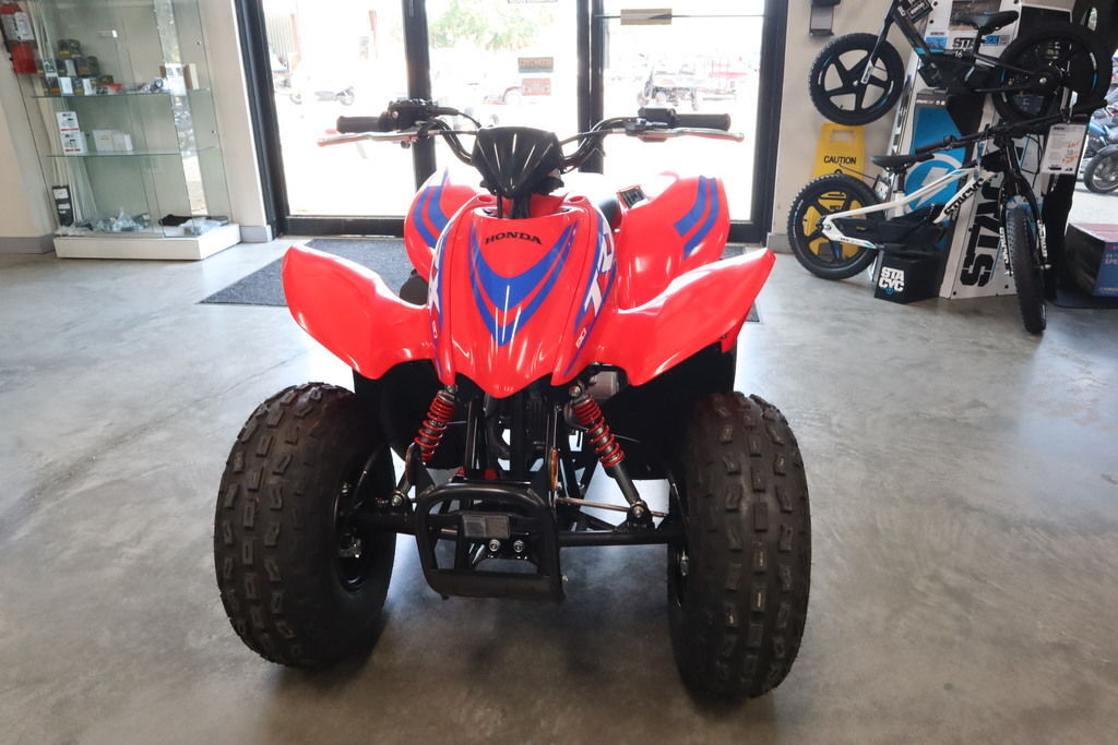 2026 Honda® TRX90X in homosassa FL