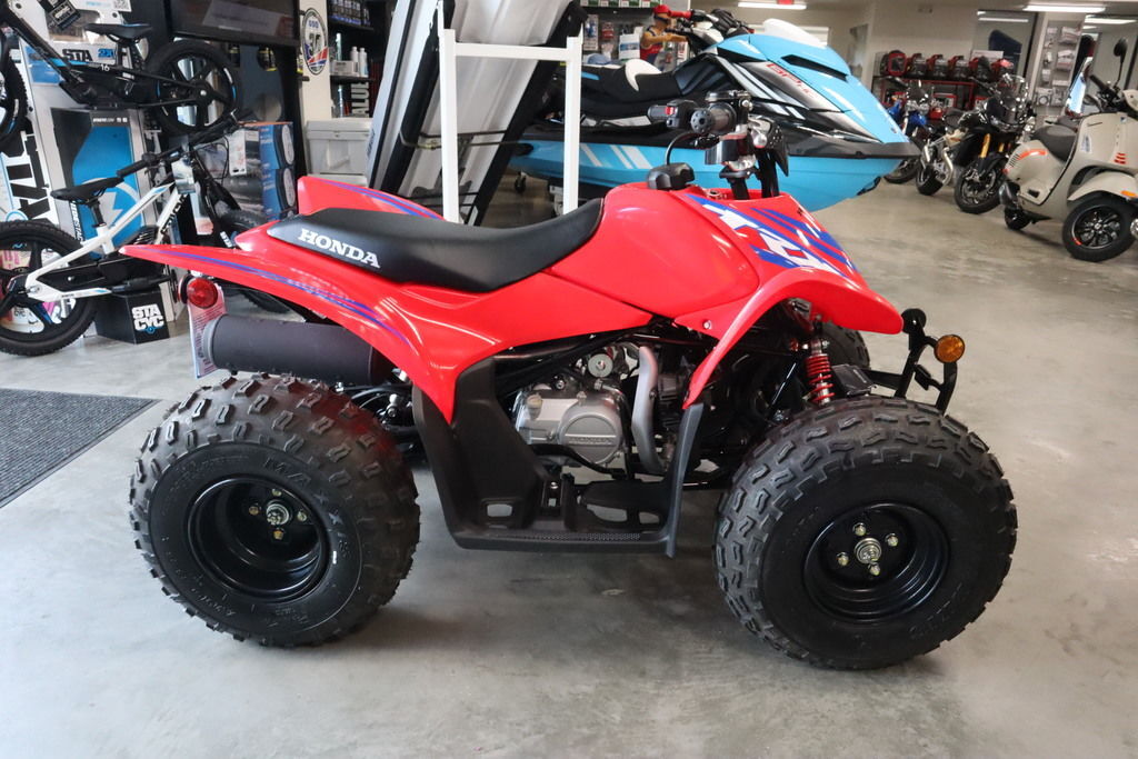 2026 Honda® TRX90X in homosassa FL