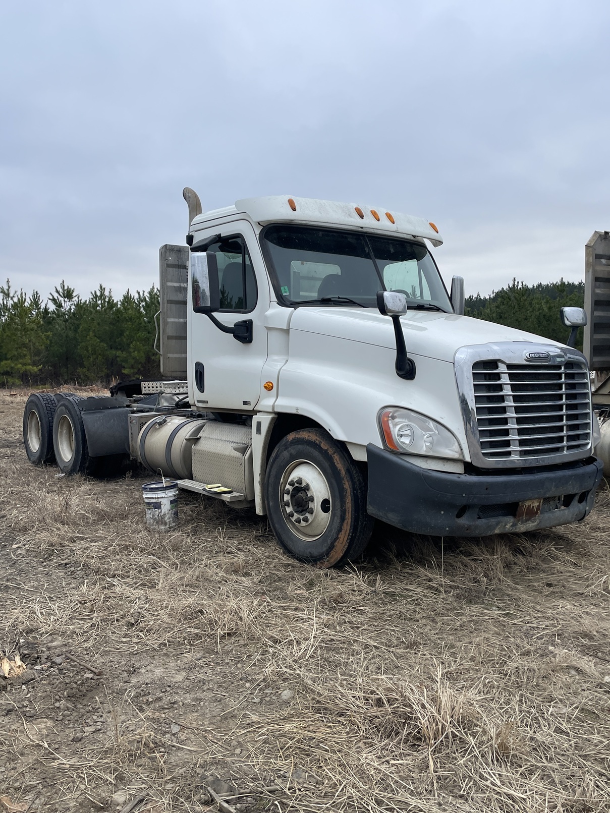 2012 FREIGHTLINER Cascadia in Prairieville, LA