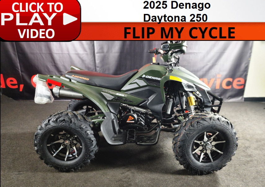 2025 Denago Daytona 250FI in fayetteville NC