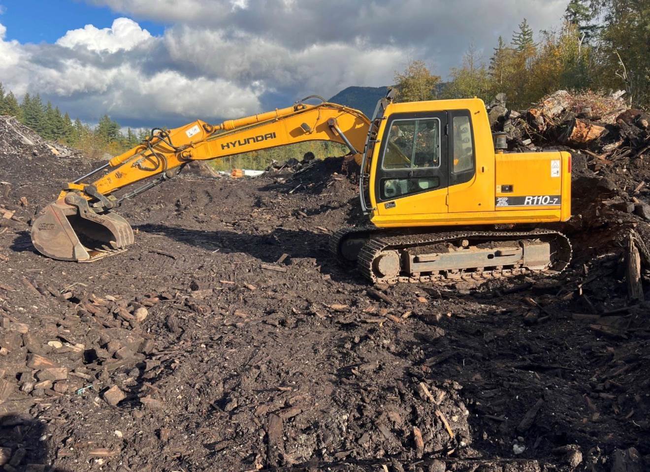 2005 Hyundai R110LC-7 in Stanwood, WA