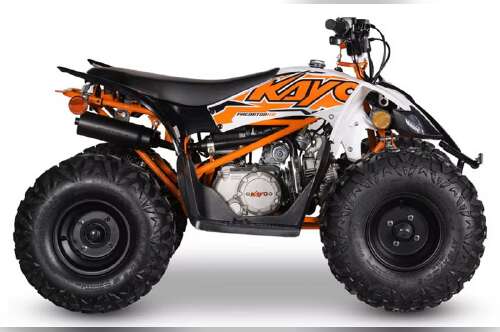 2026 Kayo Predator 110 125 in greenville NC