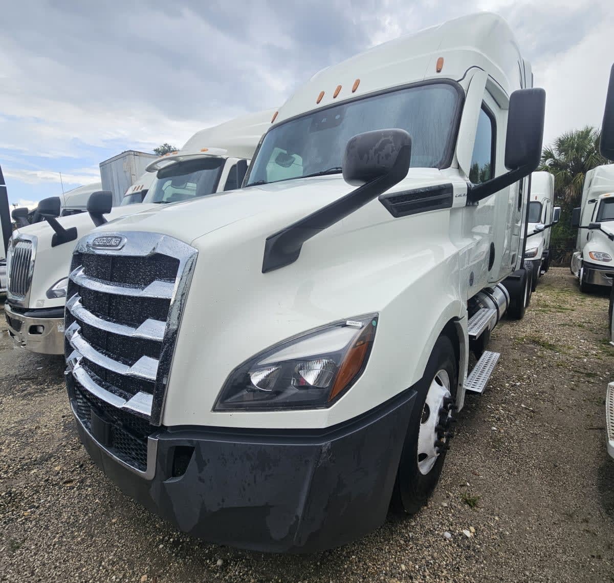 2022 FREIGHTLINER CASCADIA 126 in Orlando, FL