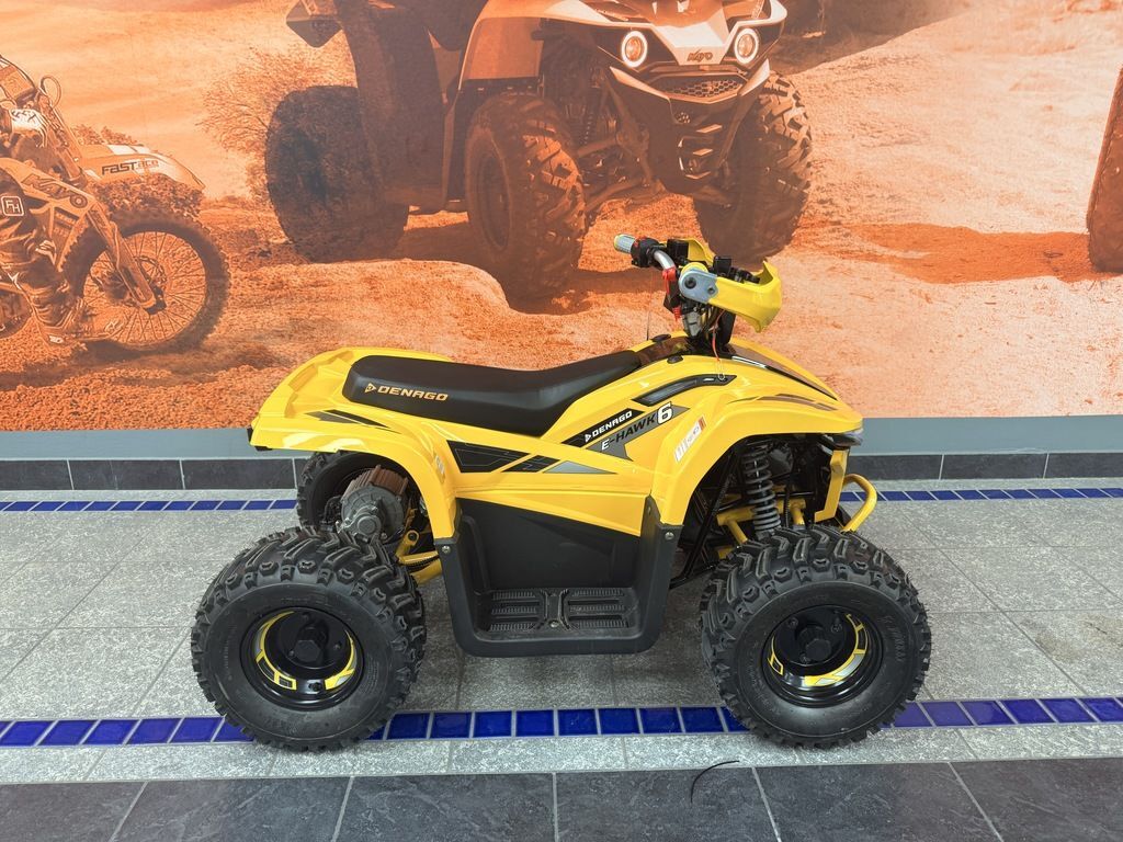 2026 Denago Powersports E-Hawk 6 in houston TX