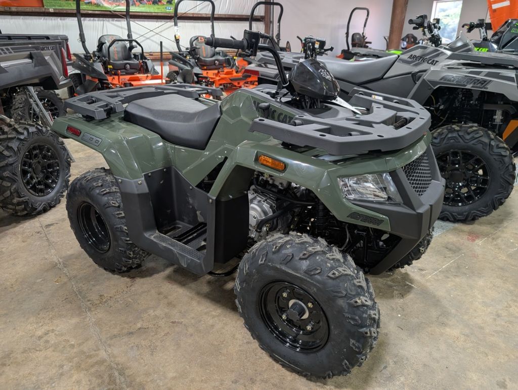 2026 Arctic Cat® Alterra 300 in Sumiton, AL