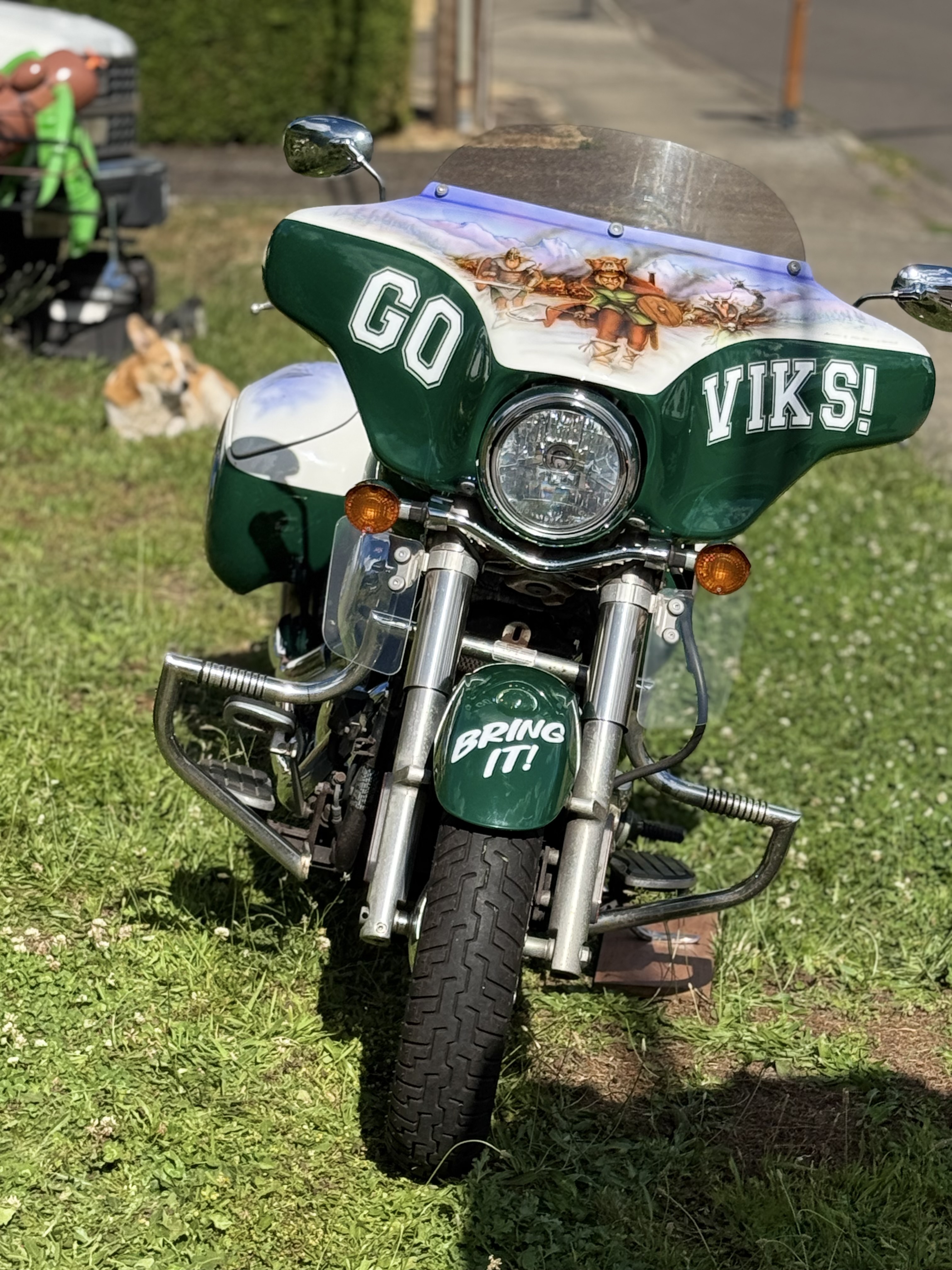 2006 Kawasaki VULCAN 900 CUSTOM CUSTOM in Mcminnville, OR
