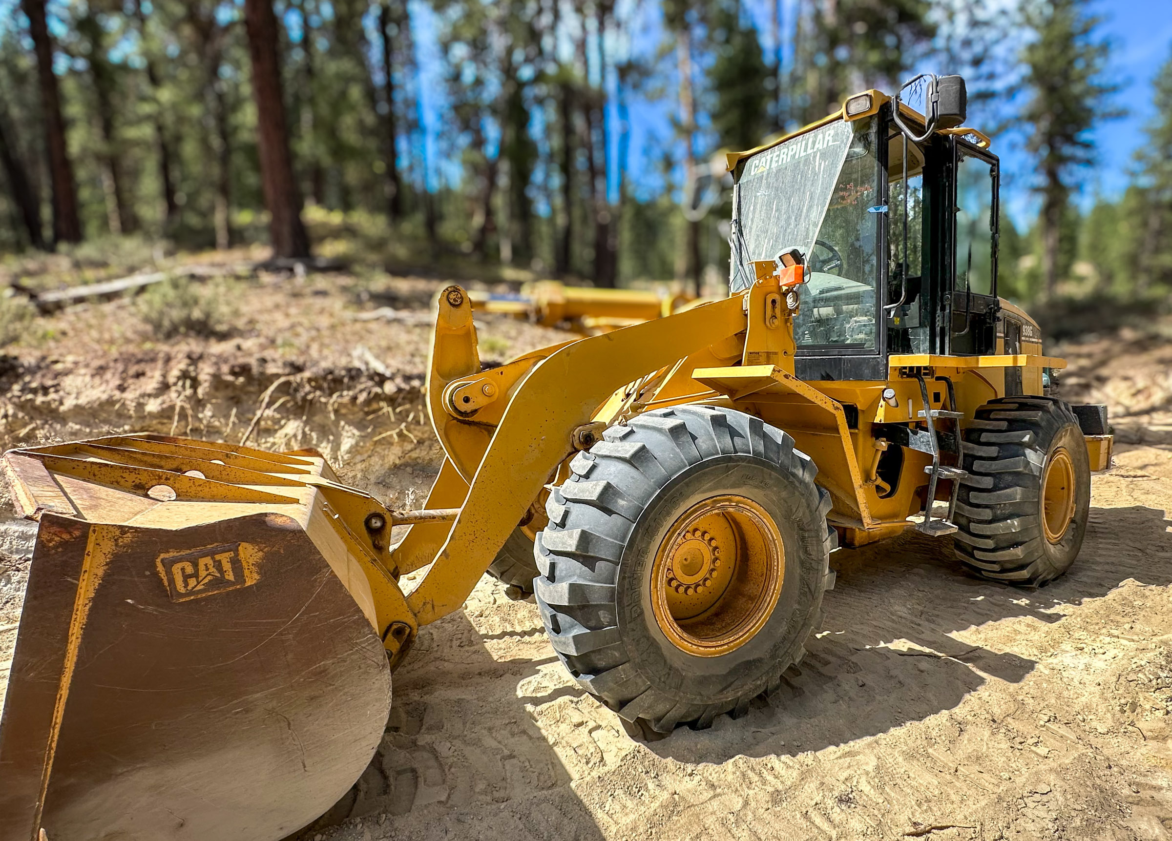 2006 CATERPILLAR 938G II in Boise, ID