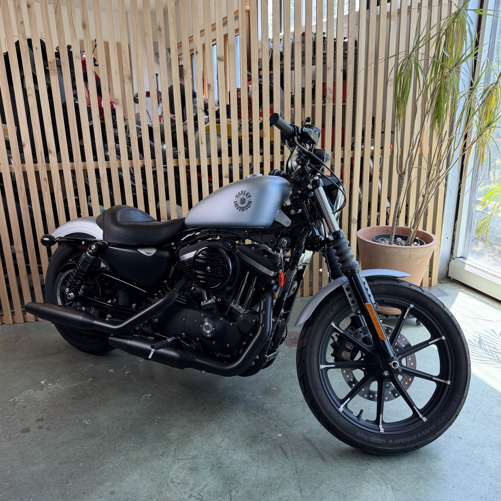 2020 Harley Davidson XL883N IRON 883 IRON in Seattle, WA