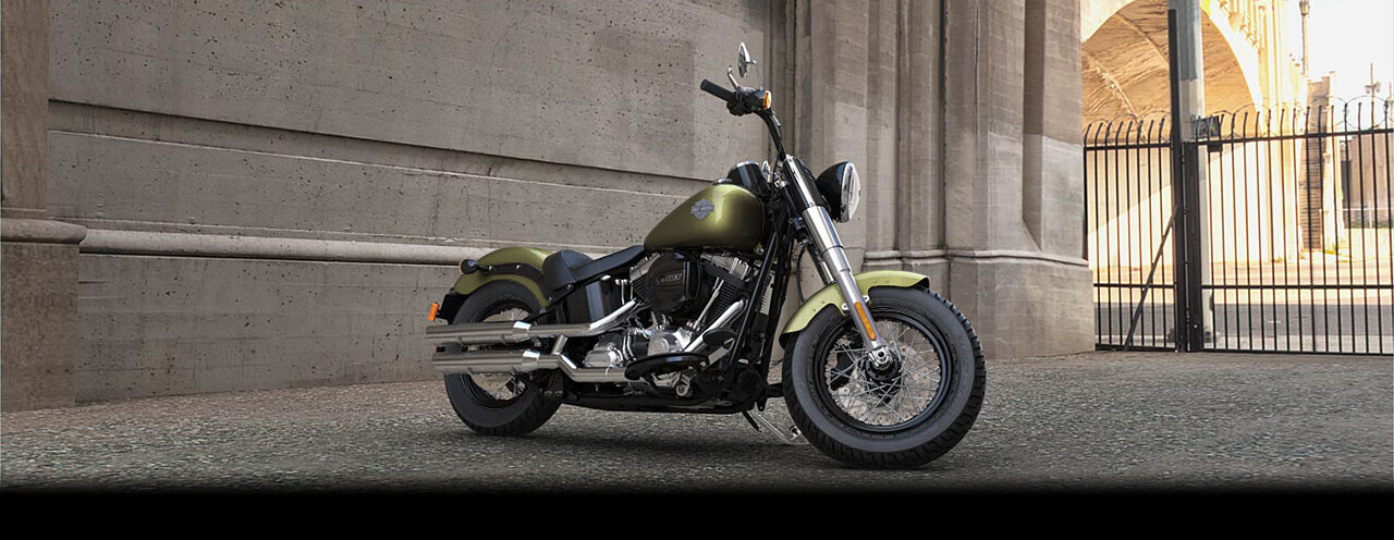2017 Harley-Davidson Softail Slim SLIM in Carroll, IA