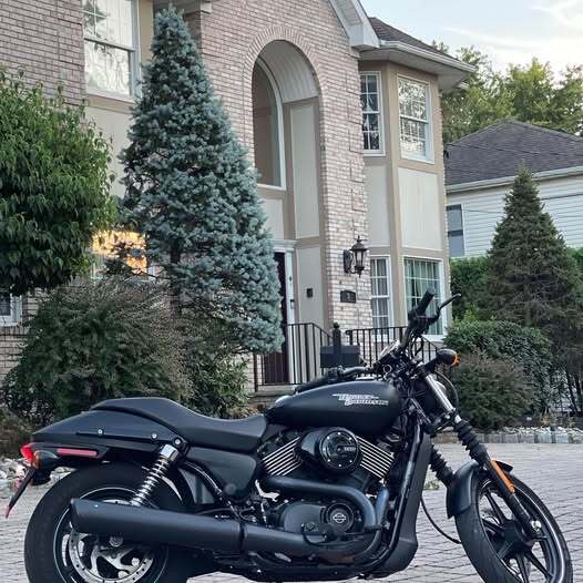 2017 Harley-Davidson STREET 750 750 in Edison, NJ