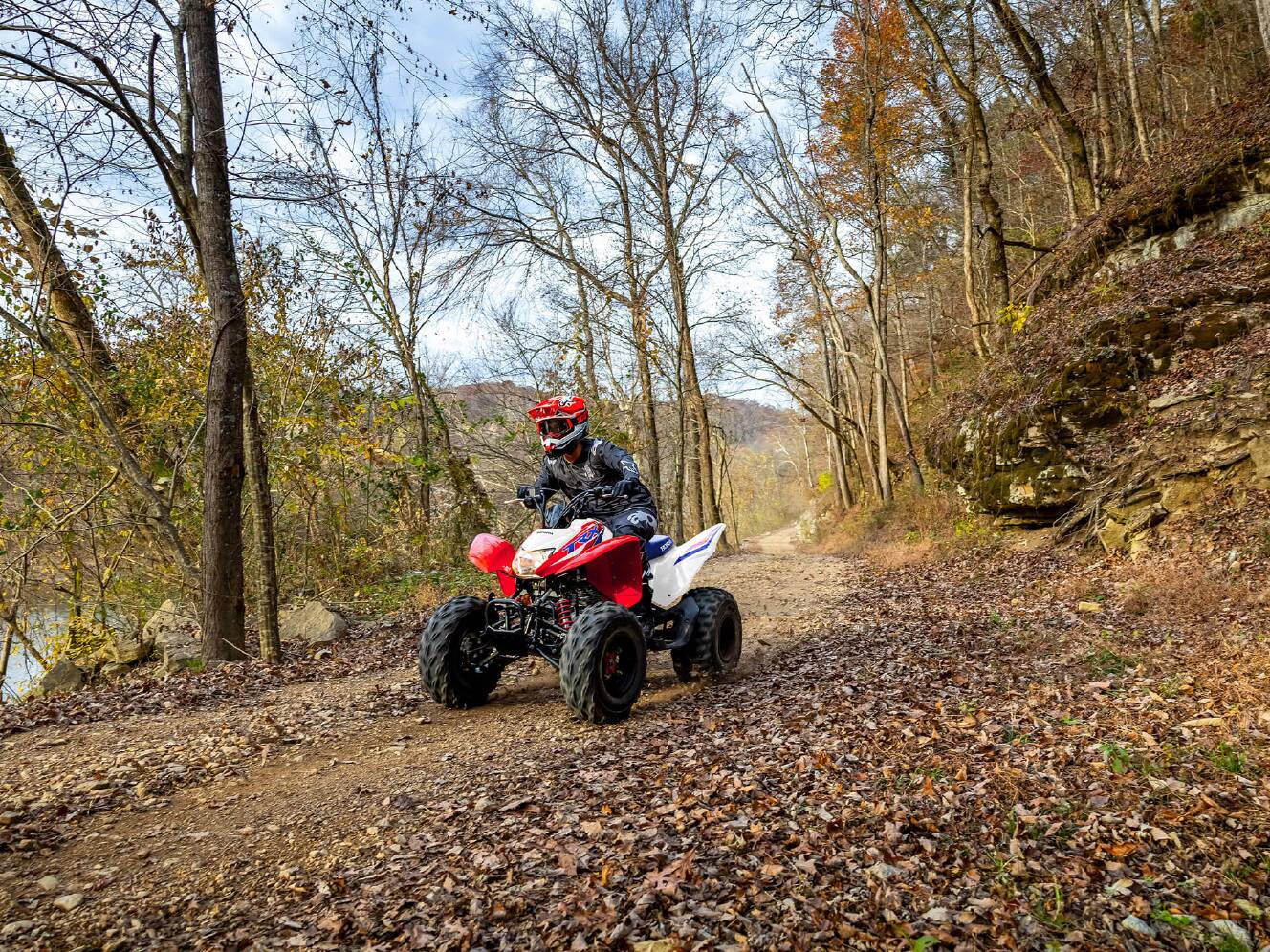 A photo of this 2026 Honda TRX250X