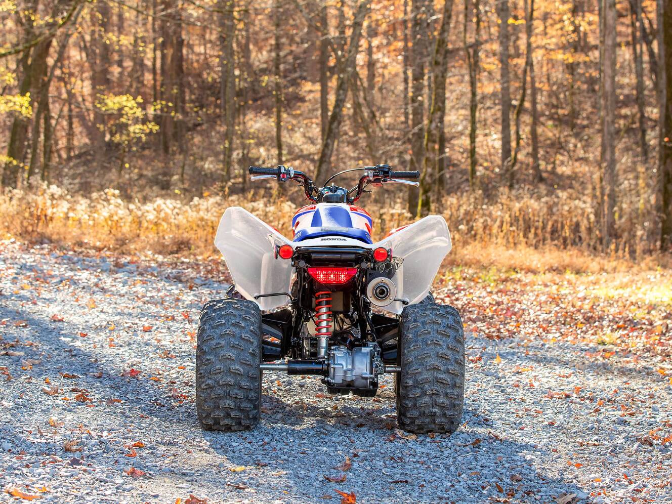 A photo of this 2026 Honda TRX250X