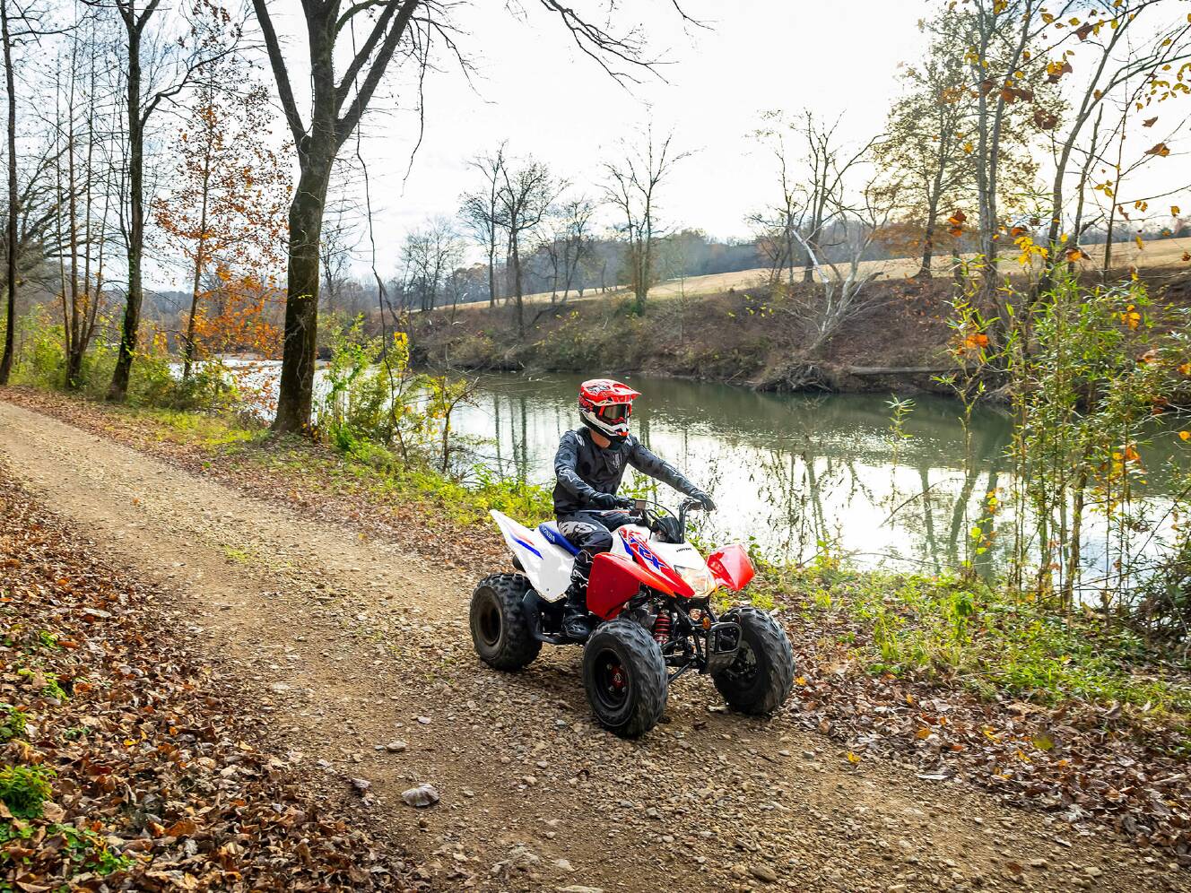 A photo of this 2026 Honda TRX250X