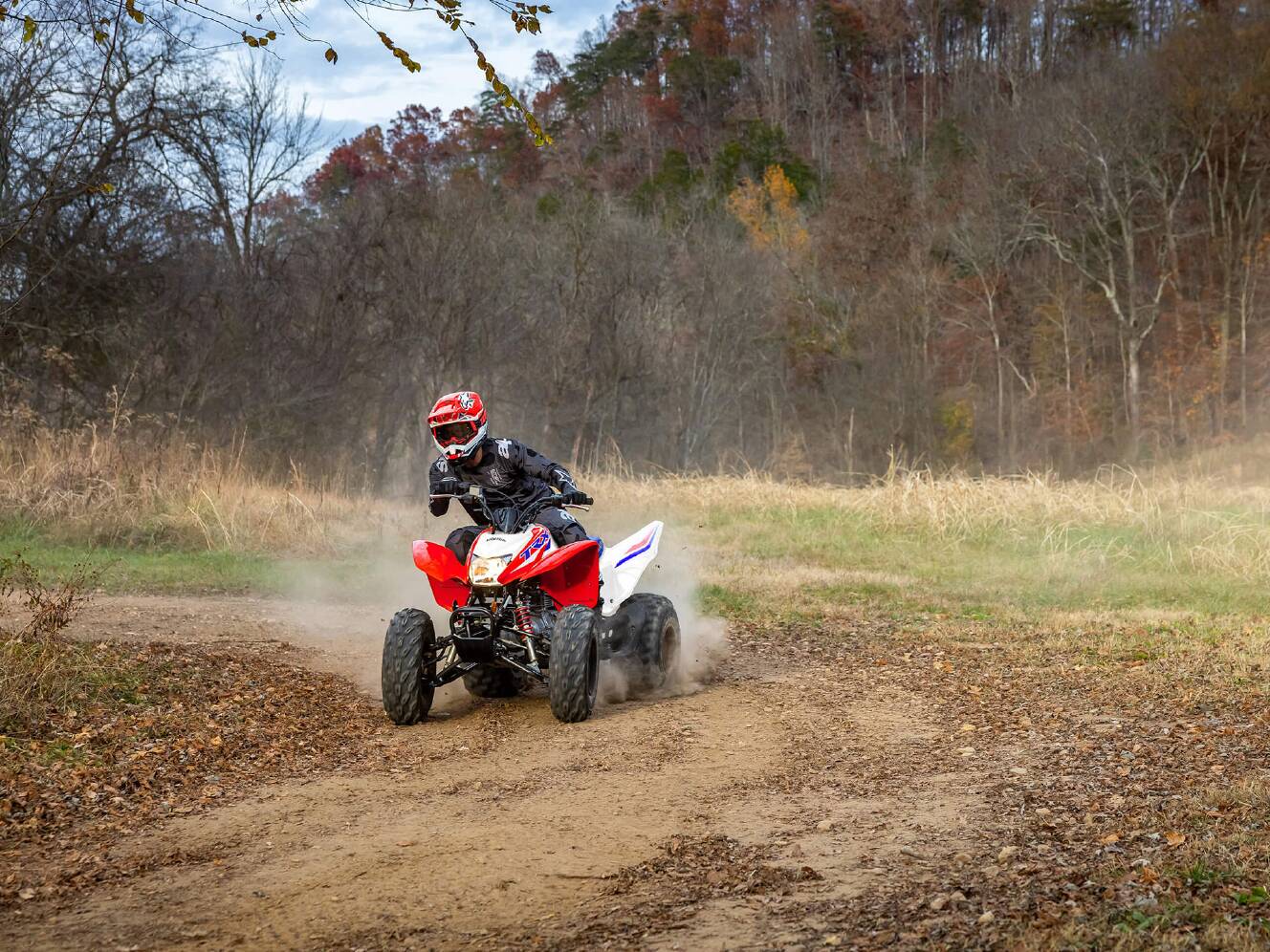 A photo of this 2026 Honda TRX250X