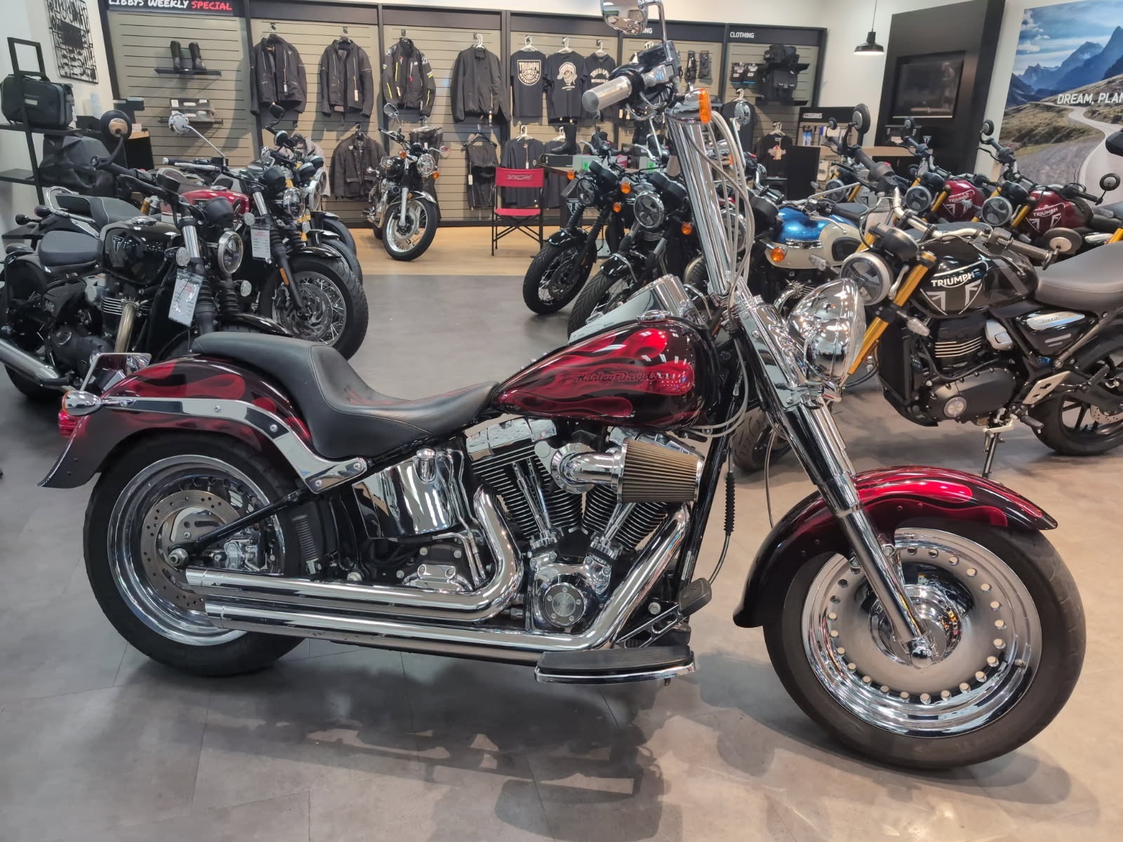 2009 Harley-Davidson Softail® Fat Boy® LO in New Haven, CT