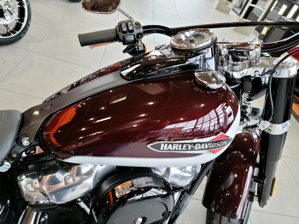 2021 Harley-Davidson SOFTAIL SLIM SLIM in Bay City, MI