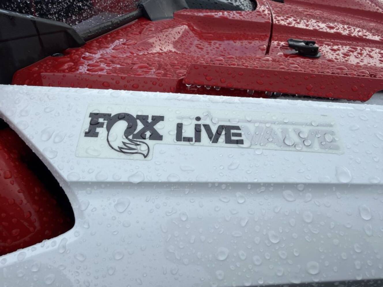 A photo of this 2026 Honda Talon 1000X 4 FOX Live Valve