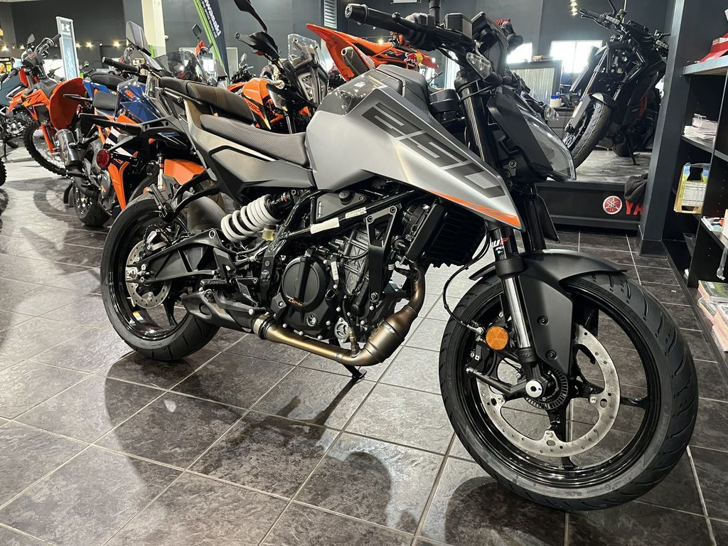 2026 KTM 250 Duke 250 in Myrtle Beach, SC