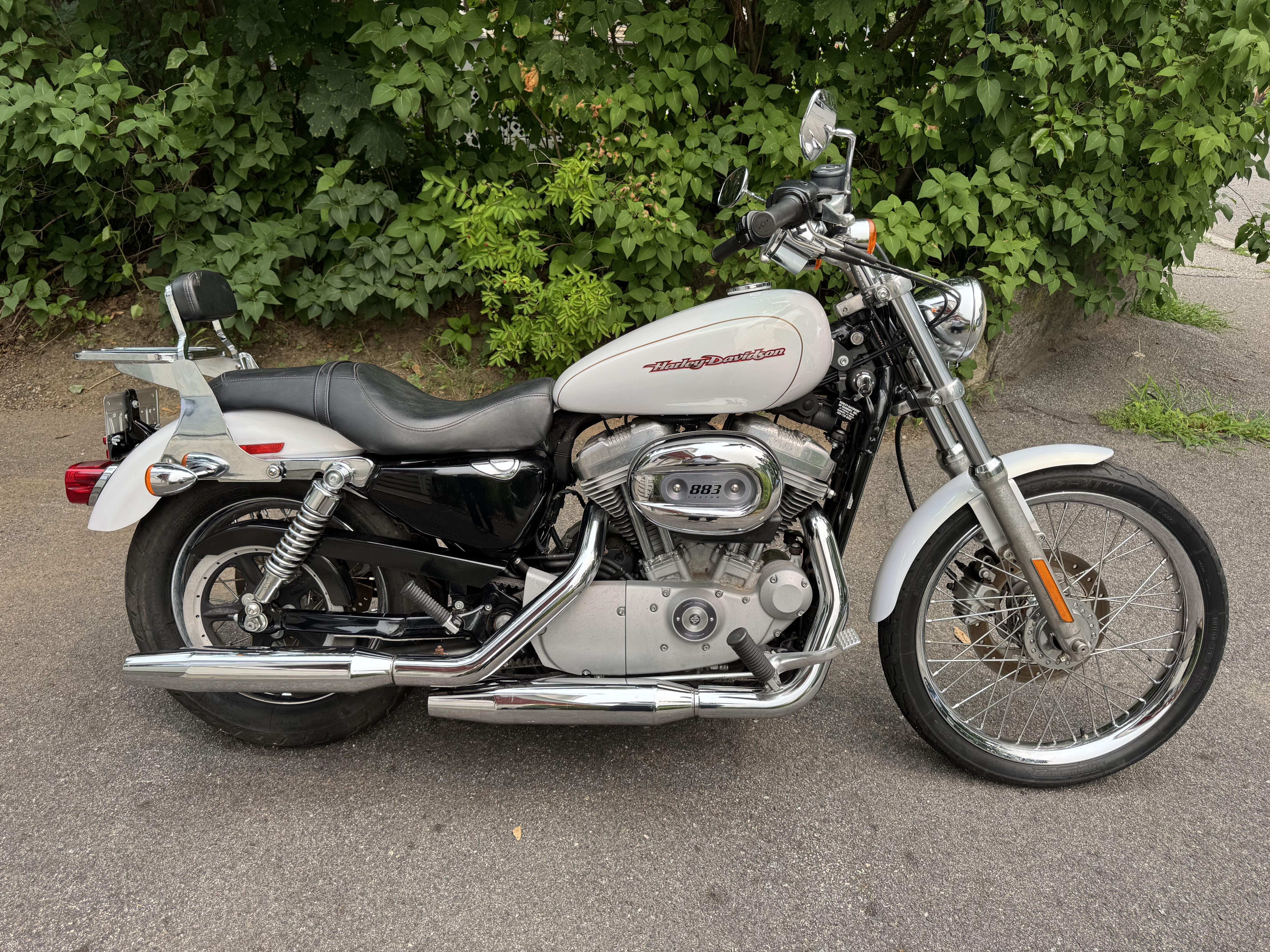 2007 Harley-Davidson SPORTSTER 883 CUSTOM CUSTOM in Beverly, MA