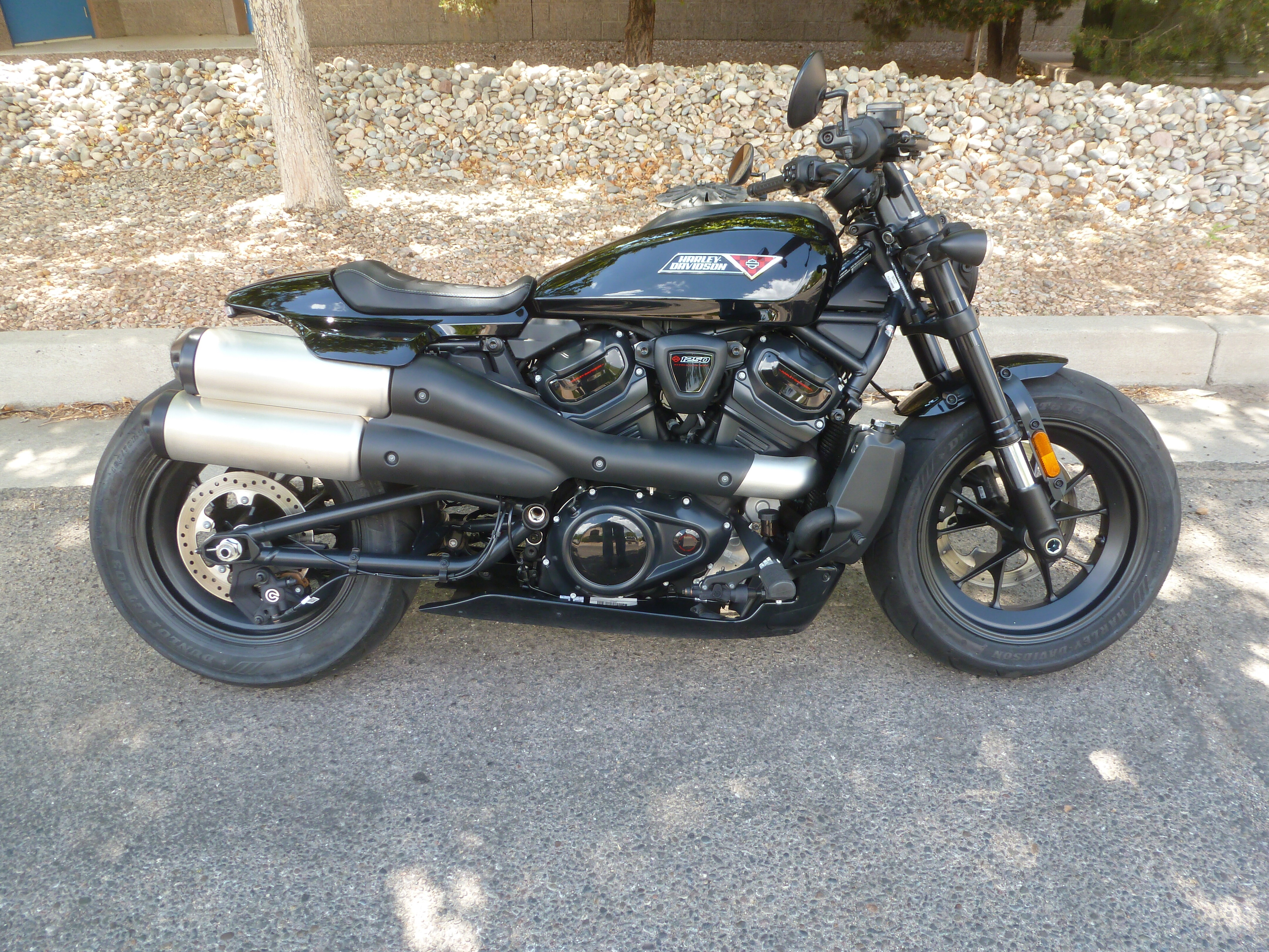2025 2025 HARLEY DAVIDSON SPORTSTER 1250 S in Albuquerque, NM