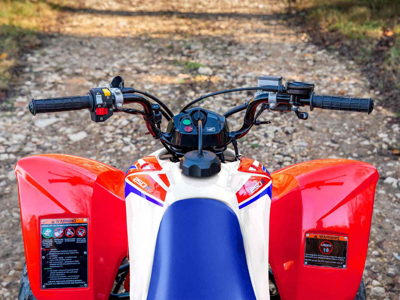 A photo of this 2026 Honda TRX250X