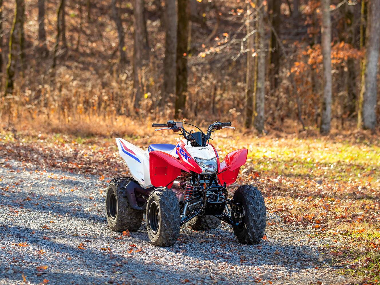 A photo of this 2026 Honda TRX250X