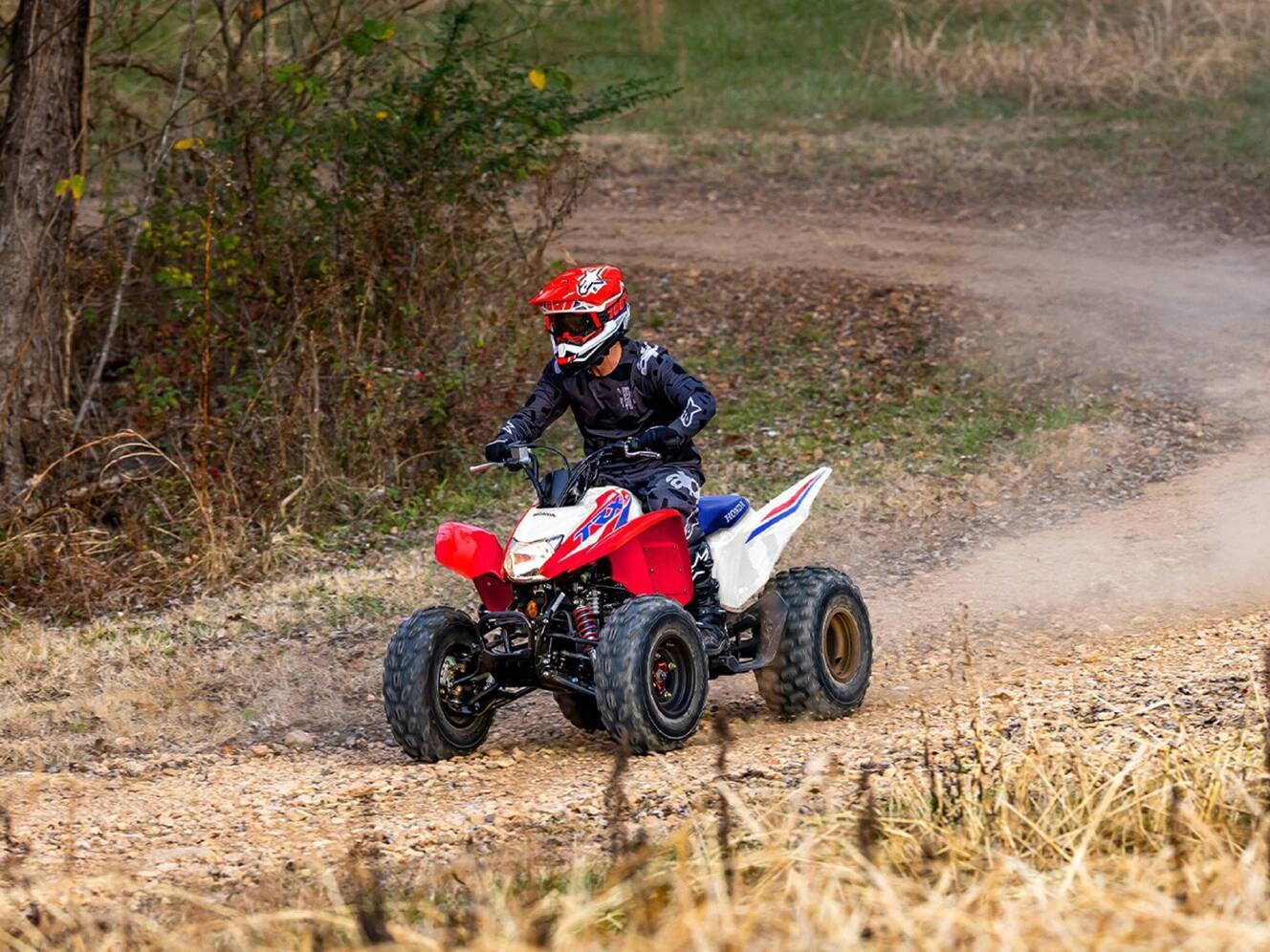 A photo of this 2026 Honda TRX250X
