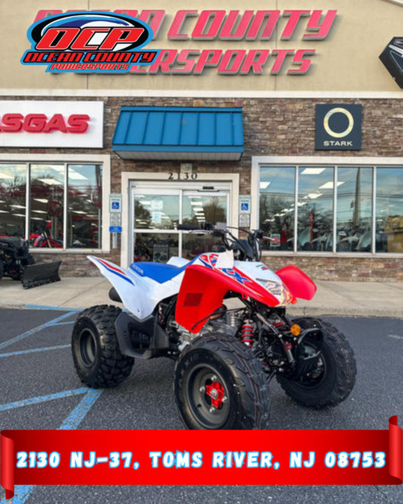 2026 Honda® TRX250X in toms river NJ