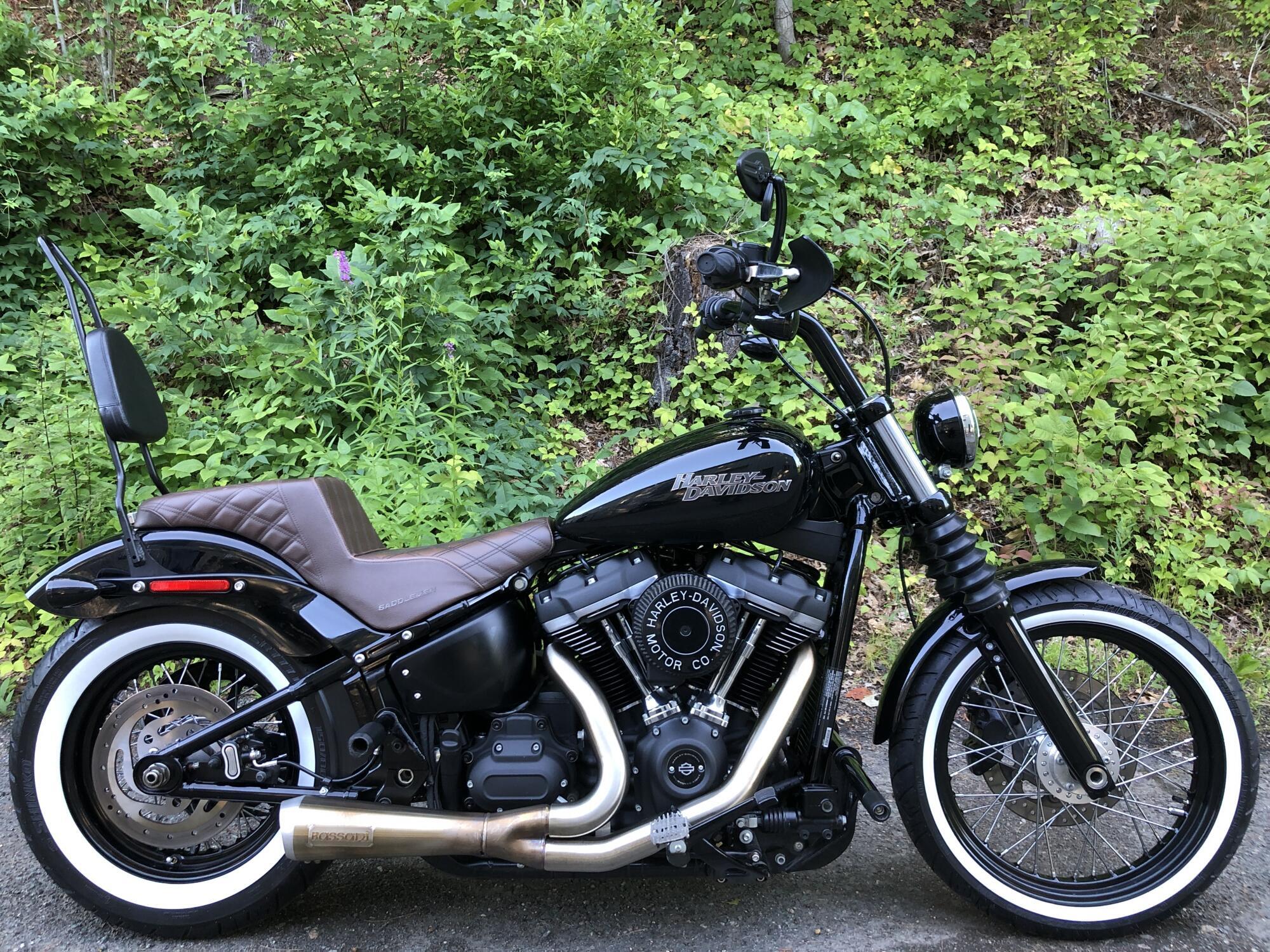 2019 Harley-Davidson Street Bob in Bellingham, MA