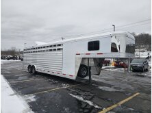 Year of the Horse: Top Horse Trailers on the Market image
