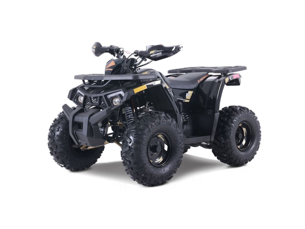 2026 Denago Powersports Mudhawk 10 FI in emmaus PA