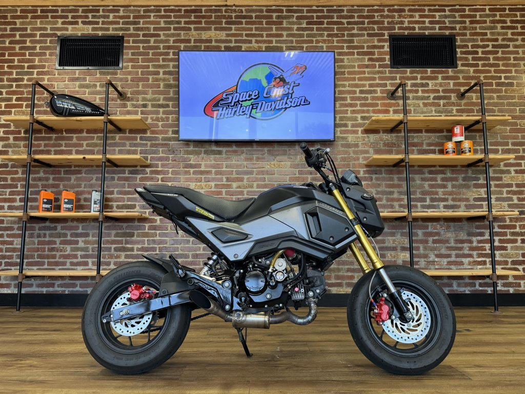2018 Honda GROM 125E in Palm Bay, FL