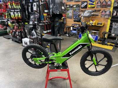 electric bicycles in michigan EMERGE BIKE West eBikes cast magnesium frame Higbee Bicycles Martini Electric Bike