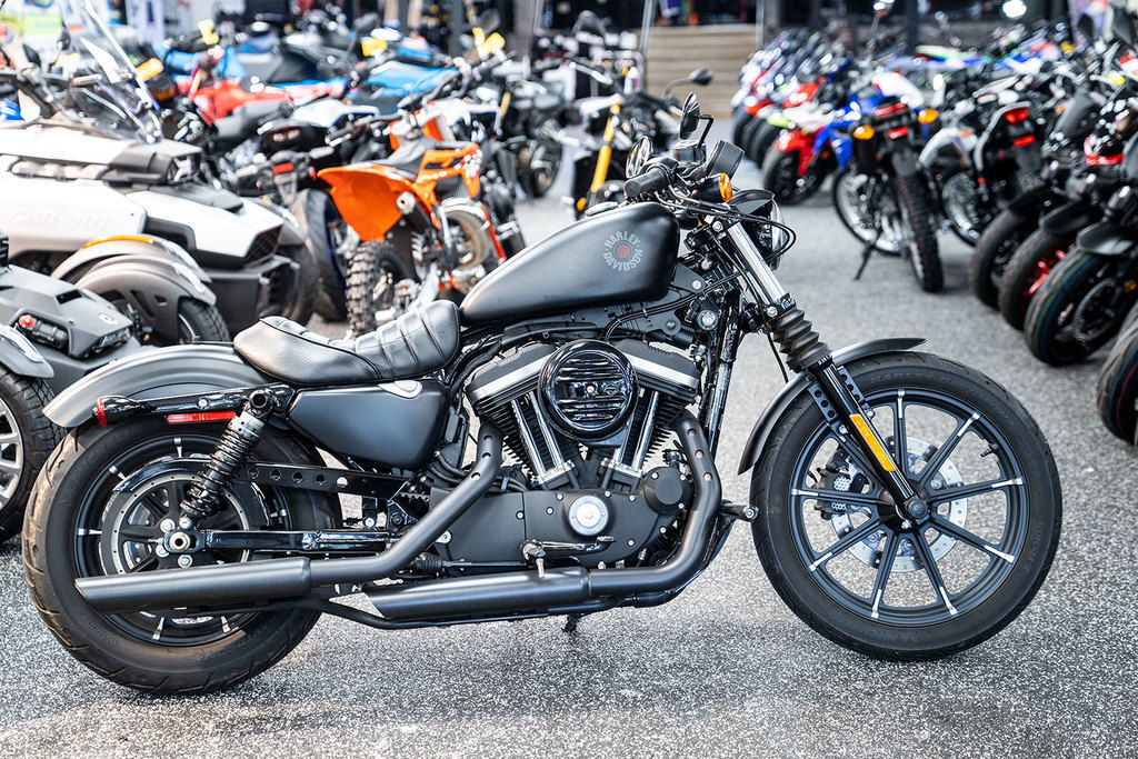 2021 Harley-Davidson® XL883N - Iron 883 IRON in Upper Darby, PA