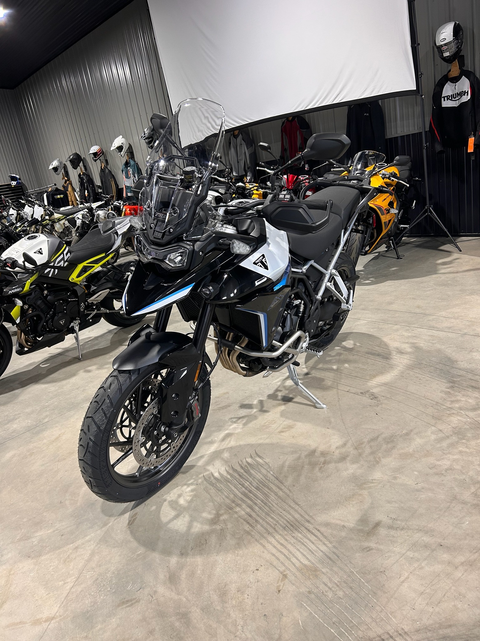 2026 Triumph Tiger 900 Alpine Edition ALPINE EDITION in Hawley, MN