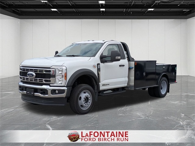 2025 FORD F450 in Birch Run, MI