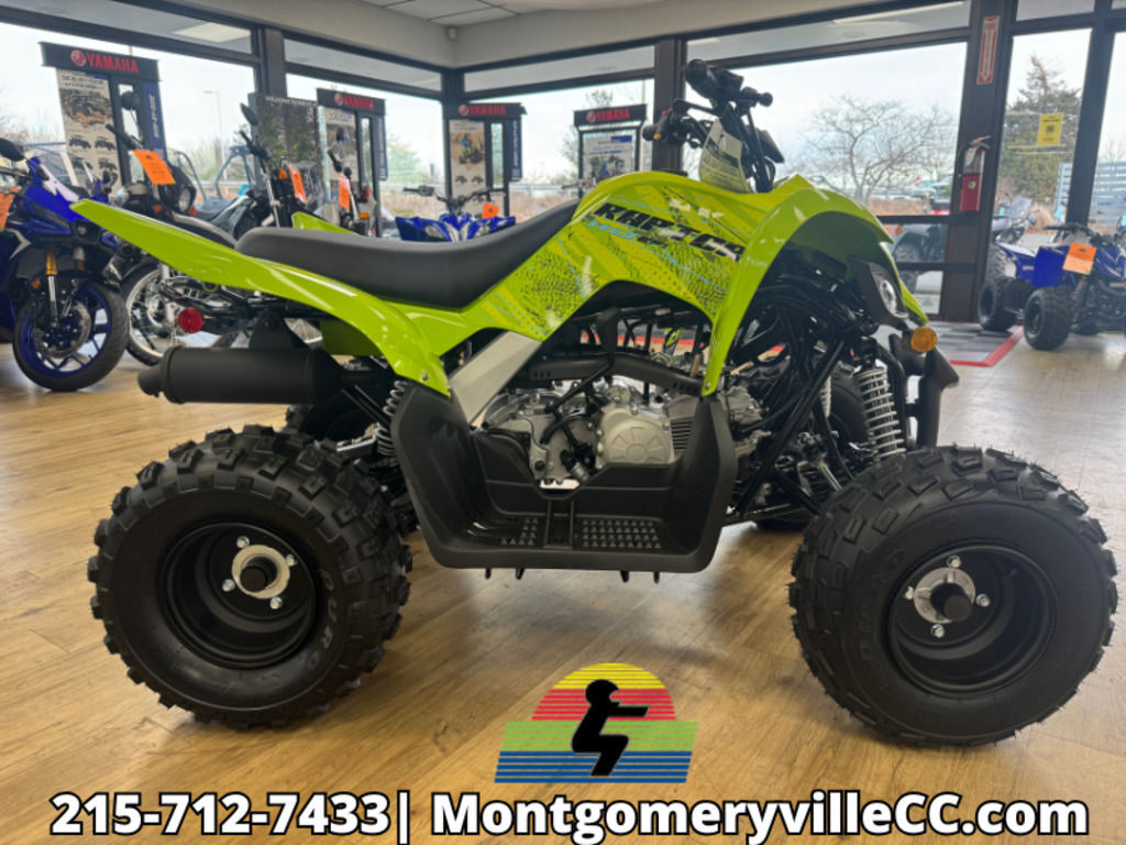 2026 Yamaha Raptor 110 in hatfield PA