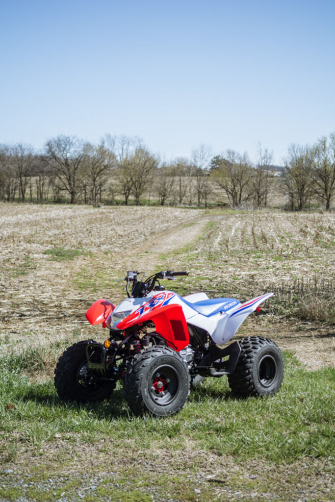 2026 Honda® TRX250X in harrisonburg VA
