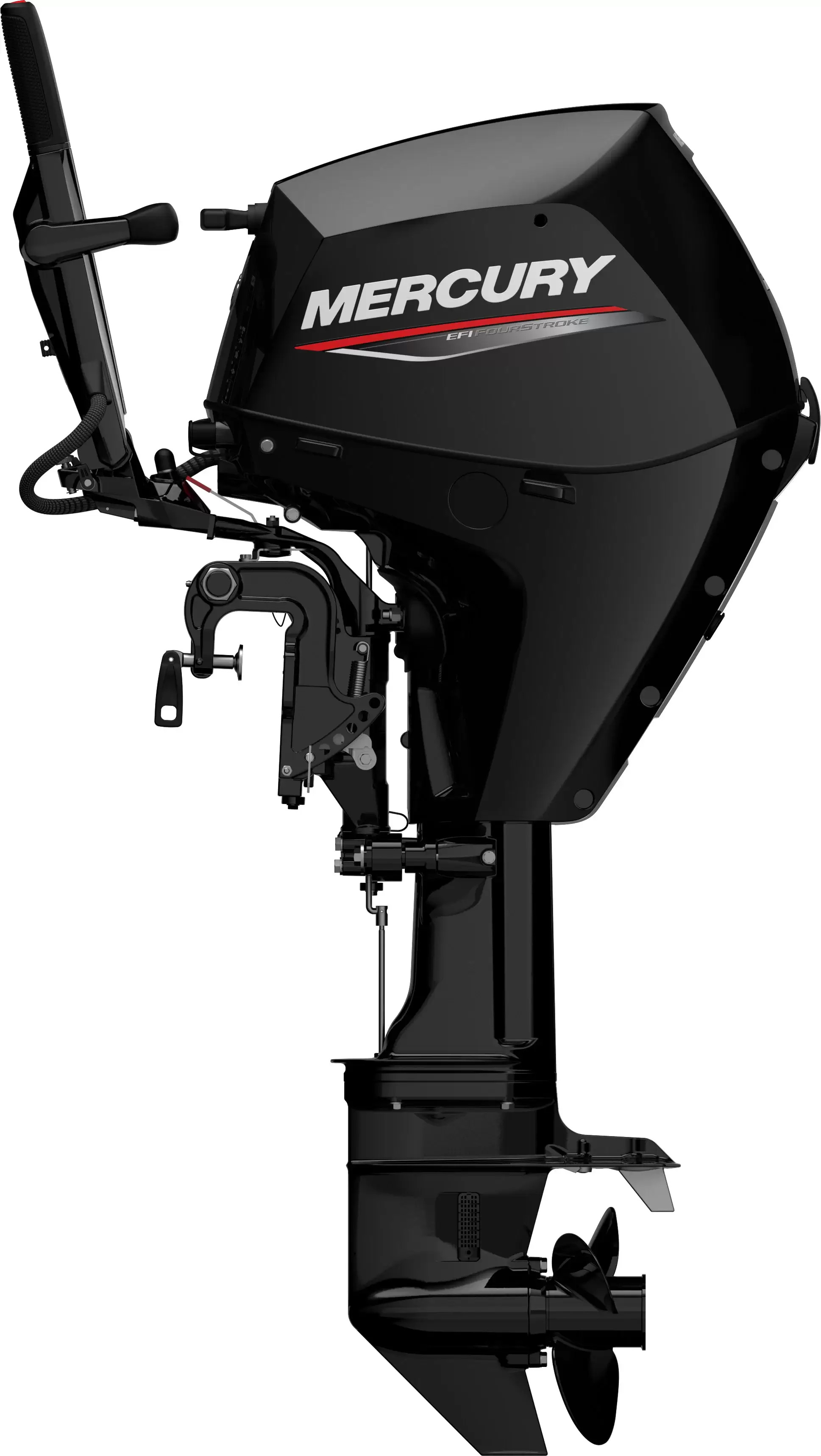 2027 Mercury Marine 25 ELHPT in hayward WI