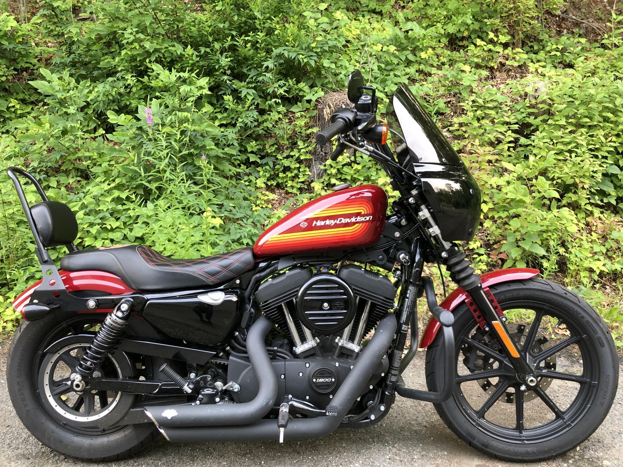 2021 Harley-Davidson Iron 1200 in Bellingham, MA