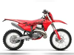 2025 GAS GAS EX 250
