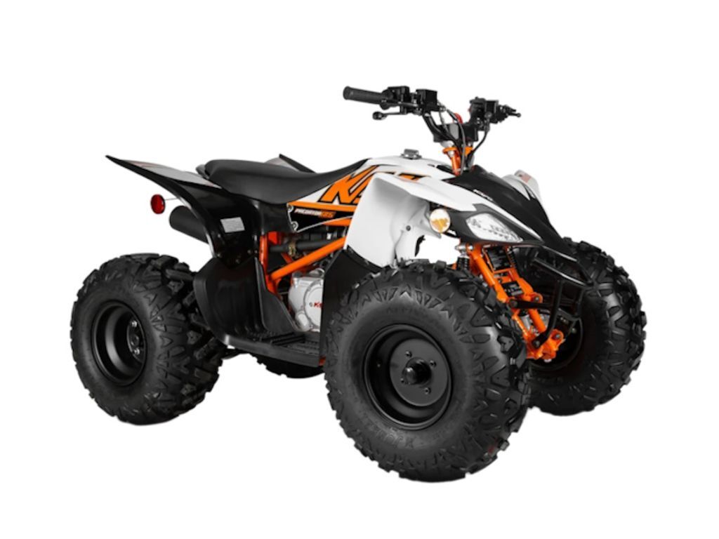 2025 Kayo Predator 125 EFI in spring hill FL