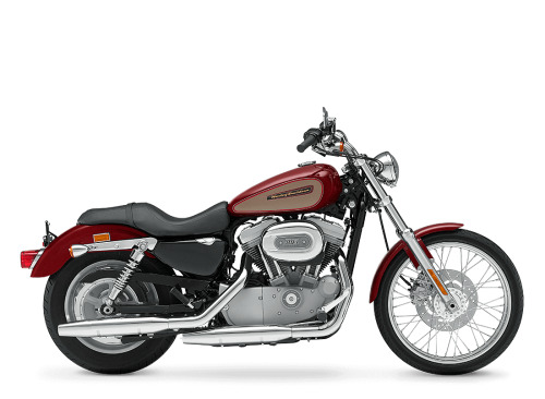 2005 Harley-Davidson Sportster 883 Custom CUSTOM in Johnson City, TN